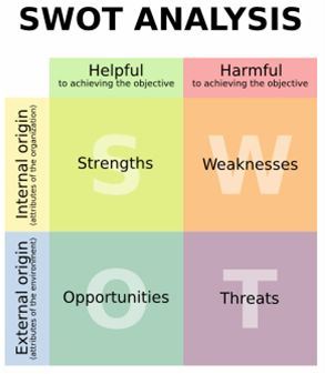 090525_SWOT1
